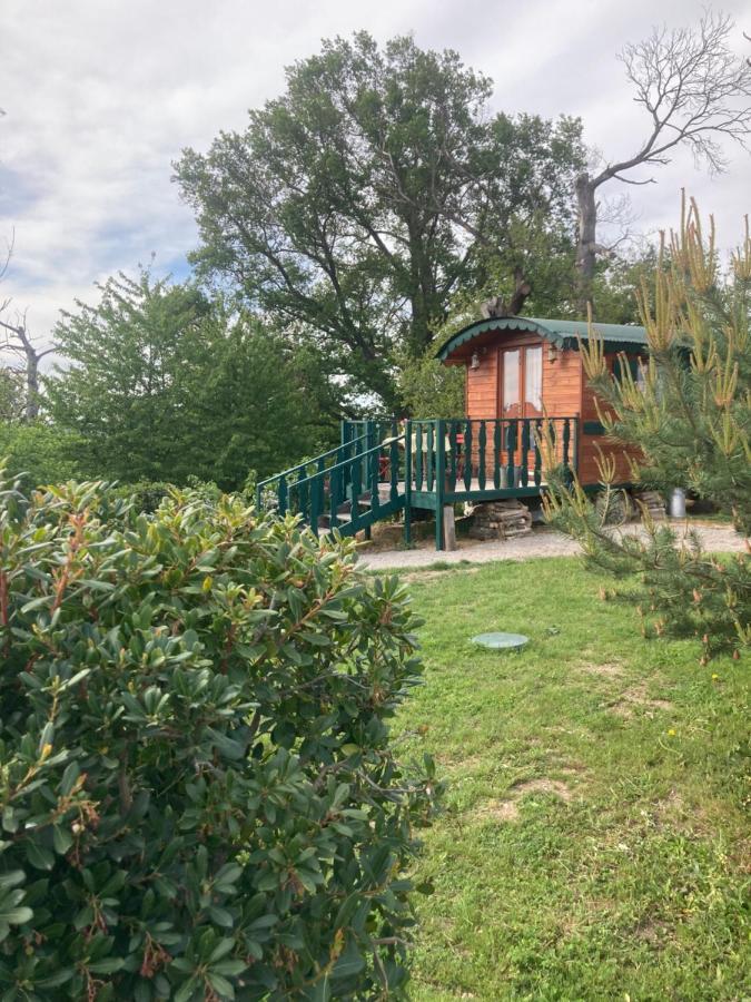 Domaine La Carriere Villa Toulon-sur-Allier Bagian luar foto