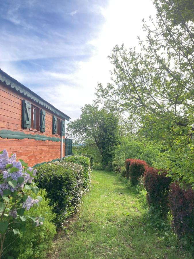 Domaine La Carriere Villa Toulon-sur-Allier Bagian luar foto